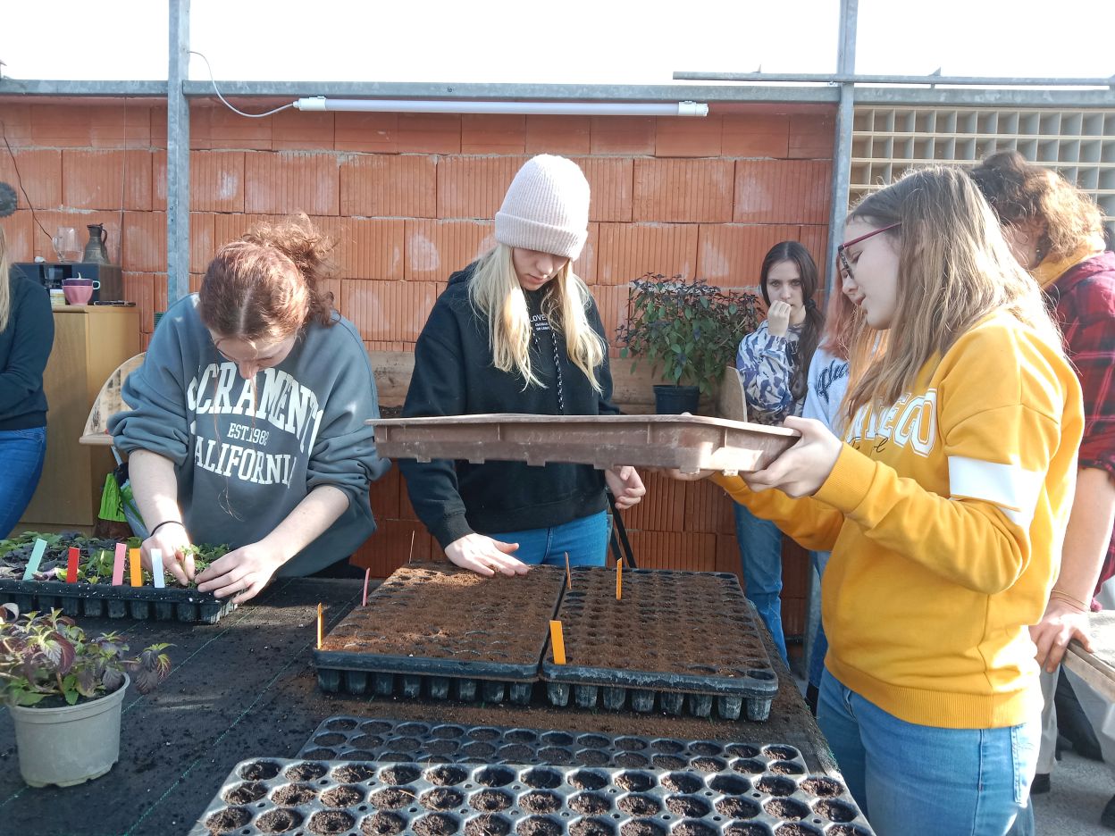 GSS im Farbgarten